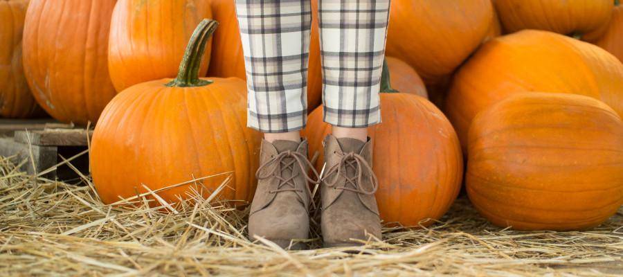 Fall Fun