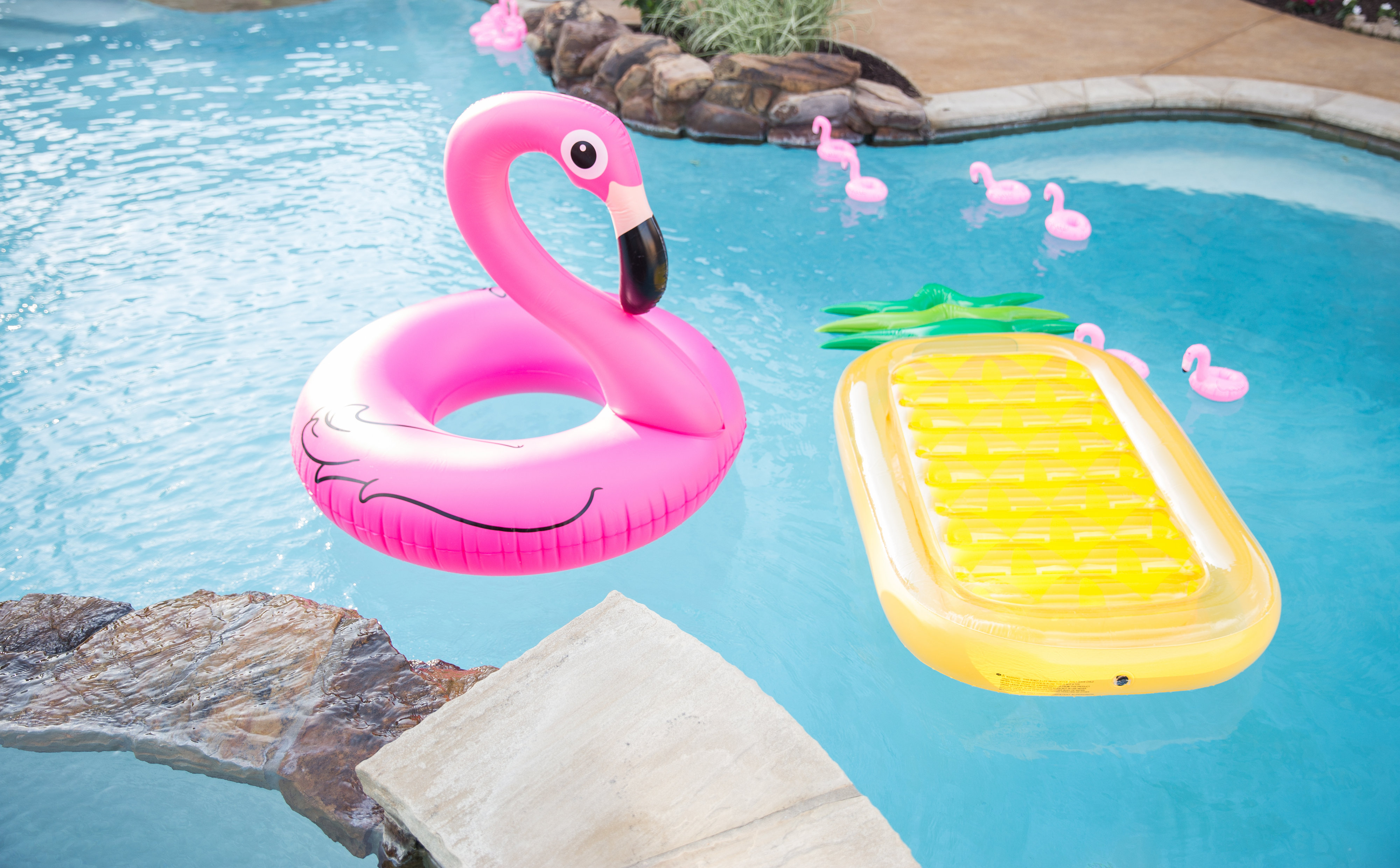 View More: http://margodawnphotography.pass.us/flamingo-fling