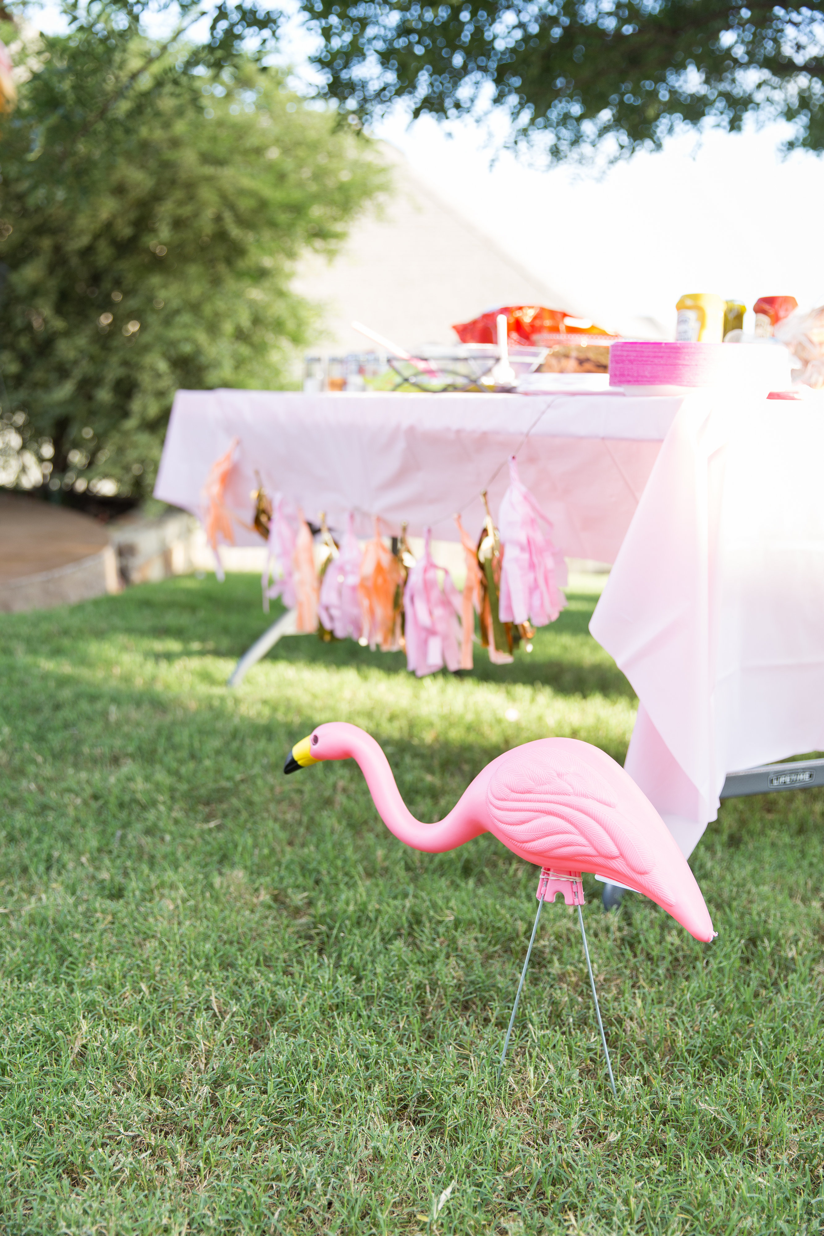 View More: http://margodawnphotography.pass.us/flamingo-fling