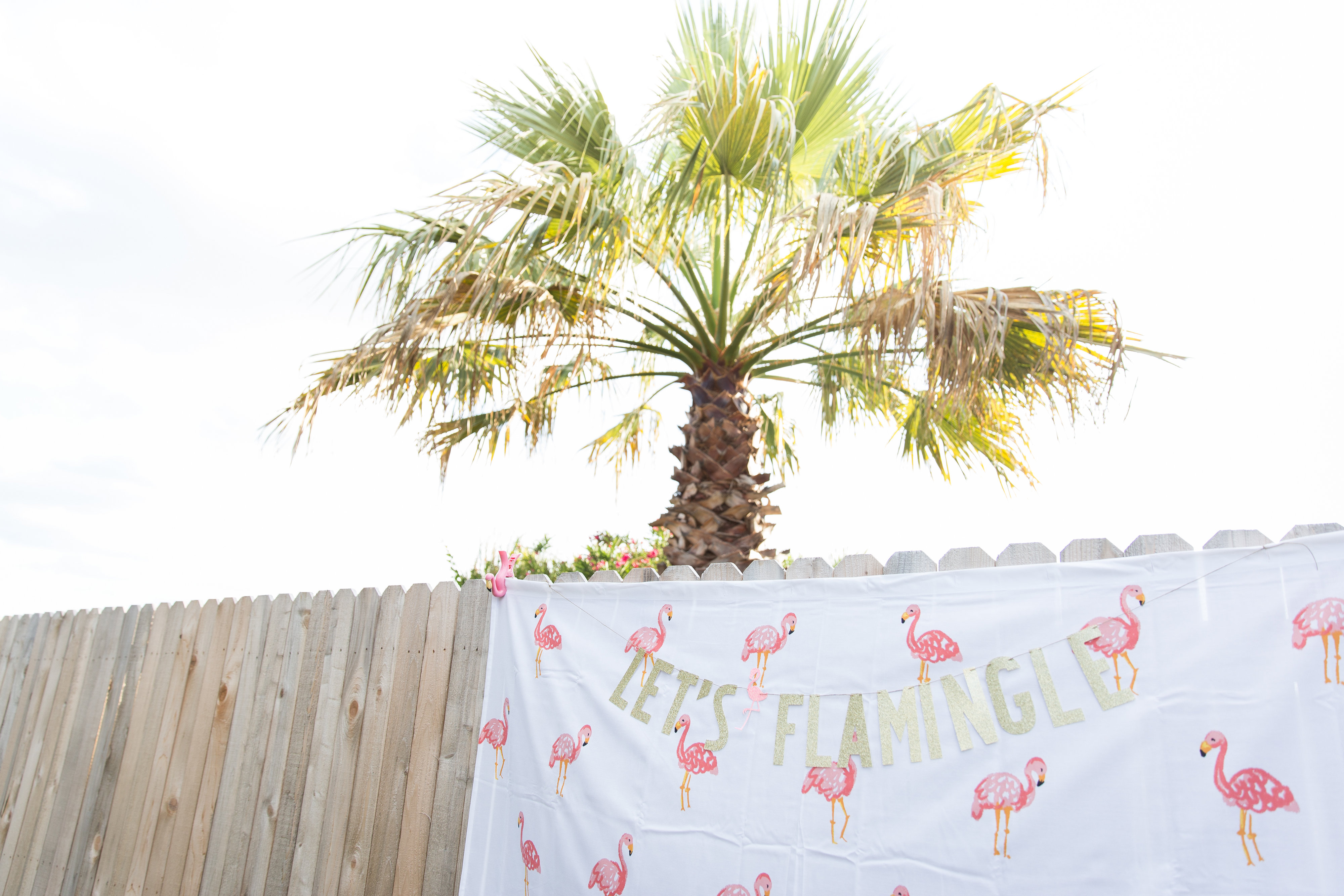 View More: http://margodawnphotography.pass.us/flamingo-fling